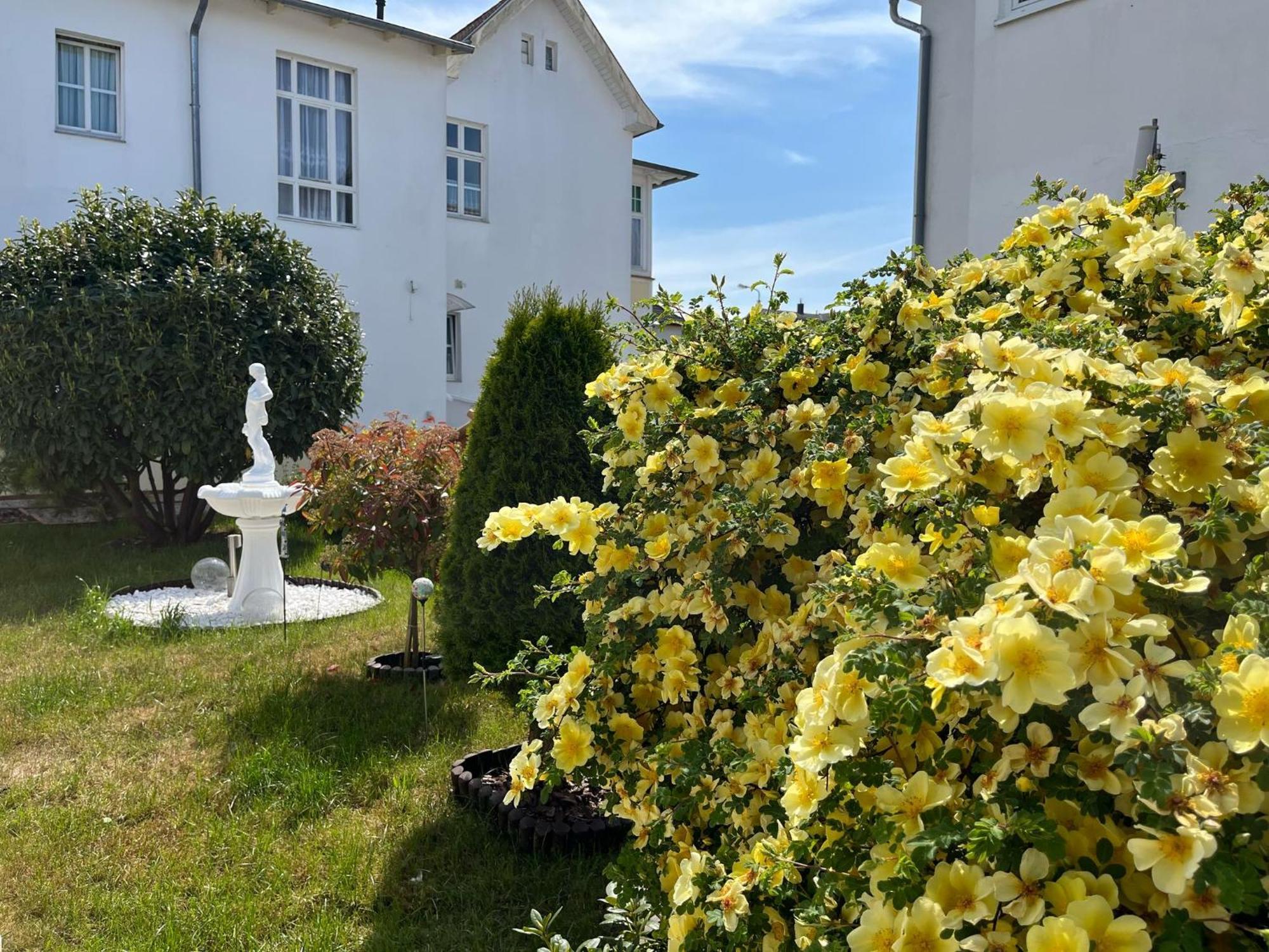 Pension Mittag Ostseebad Heringsdorf Exterior foto