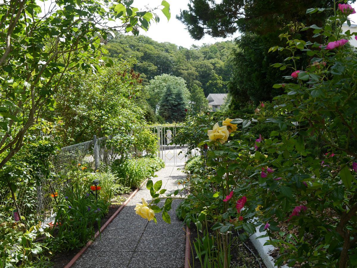 Pension Mittag Ostseebad Heringsdorf Exterior foto